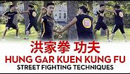 Hung Gar Kuen Kung Fu Street Fighting Techniques 洪家拳功夫技術