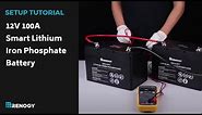 Renogy 12V 100Ah Smart Lithium Iron Phosphate Battery