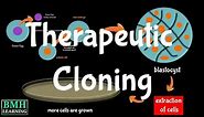 Therapeutic cloning | Stem Cell Cloning | Therapeutic vs. Reproductive Cloning |