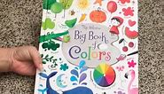 The Usborne Big Book of Colors 🌈 Usborne Books & More