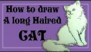How to draw a long haired cat