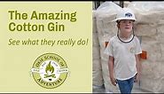 The Amazing Cotton Gin - 10 Minutes to Understanding What It Does
