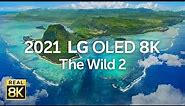 2021 OLED 8K The Wild2 8K HDR 60fps
