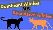 Dominant Alleles vs Recessive Alleles | Understanding Inheritance