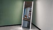 Full Length Mirror with Lights, Stand Up Mirror &Wall Mount