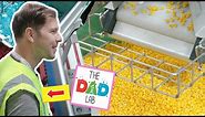 LEGO Factory Tour in Billund Denmark with TheDadLab ! Inside the story of how LEGO is made