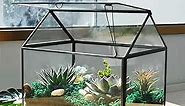 Large Glass Plant Terrarium – House Succulent Glass Terrarium Kit with Lip Glass Greenhouse Terrarium for Plant (Black 1)
