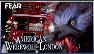 The Piccadilly Circus Rampage | An American Werewolf In London (1981)