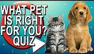 What Pet Should I Get? Take a Quiz