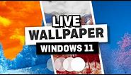 How to Add a Live Wallpaper in Windows 11 - Animated Wallpaper for Windows 11