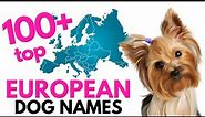 Top 100+ EUROPEAN Dog names– Unique Dog Names