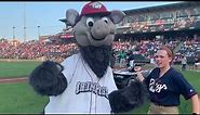 Highlights from the IronPigs' 10th & 11th Homestands (2019)