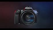 Canon EOS 90D | First Look