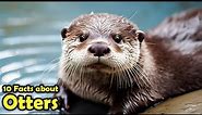 Why Do Otters Hold Hands While Sleeping? Get Your Otter Facts Here!