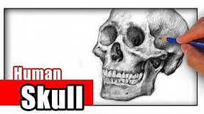 How to Draw a Skull with Pencil