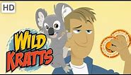 Wild Kratts 🐨 Kangaroos and Koalas | Kids Videos