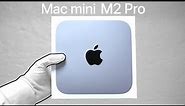 Mac mini M2 Pro Unboxing and "Gaming Setup" (2023)