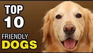 TOP 10 FRIENDLY DOG BREEDS