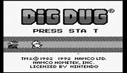 New Dig Dug - Game Boy - Full Game Playthrough