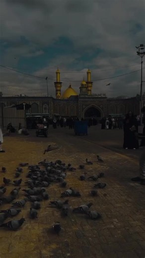 فيديوهات أنشأها ﮼بَـنين𐙚. (@ax_bno) باستخدام الصوت الأصلي - خــــادمة الحسين❀