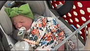 Mom goes to Target with 4 kids & twin newborn silicone reborn baby’s @target