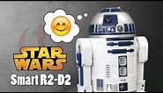 Star Wars Smart R2-D2 from Hasbro