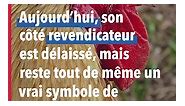 L'histoire du coq en France