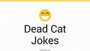113  Dead Cat Jokes And Funny Puns - JokoJokes