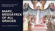 Mary, Mediatrix of All Graces - Mariology Without Apology #31 - Dr. Mark Miravalle