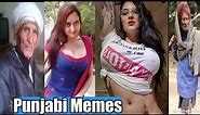 Punjabi Funny video with Punjabi memes || Part 2 ||