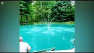This family dyed their WHOLE pond bright BLUE! Check out the results...