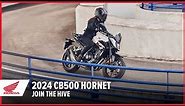 New CB500 Hornet 2024: Join the Hive | Street Motorcycle | Honda