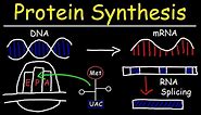 Transcription and Translation - Protein Synthesis From DNA - Biology