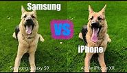 Apple iPhone XR vs Samsung Galaxy S9 - Camera-
