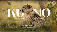 Kuno : Return of Cheetahs