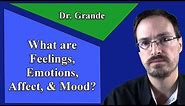 What are Emotions, Feelings, Affect, and Mood?
