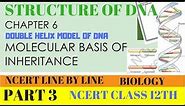PART-3 STRUCTURE OF DNA || DOUBLE HELIX MODEL || CHAPTER 6 NCERT CLASS 12TH BIOLOGY