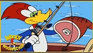 Woody Woodpecker Show | Surf Crazy | 1 Hour Compilation | Cartoons For Children