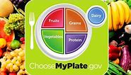 How to Create a Balanced Diet: My Plate!