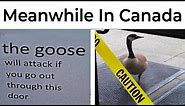 Memes About Canadians