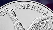 Complete American Eagle Silver Dollar Coin