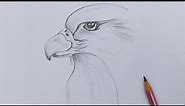 How To Draw An Eagle | How to Draw a Bald eagle | Eagle Drawing Easy Step By Step
