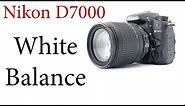 Nikon D7000: How to use Auto and Custom White Balance