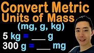 How to Convert Metric Units of Mass (mg, g, and kg)