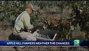 Apple Hill farmers weather the ups and downs of a changing climate