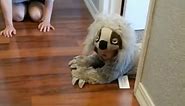 Baby In Sloth Costume