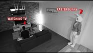 CAUGHT EASTER BUNNY ON OUR SECURITY CAMERAS AT 3 AM!! *UNBELIEVABLE*