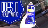 WD40 Hack on Wiper Blades! Does it really work?