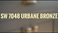 Urbane Bronze Sherwin Williams | COLOR OF THE YEAR 2021