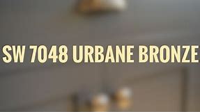 Urbane Bronze Sherwin Williams | COLOR OF THE YEAR 2021